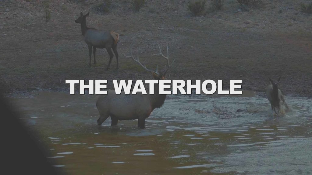 The Waterhole - Diamond Outfitters Film 